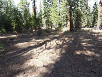 3.68 Acres Off the Grid in Modoc County - image 4