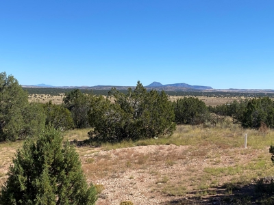 Newer Country Home on Grid in Northern AZ - image 21