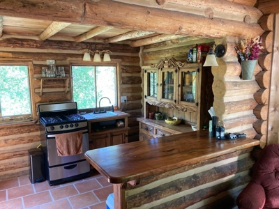 SW Colorado Mountain Log Cabin For Sale Telluride Ridgway - image 2
