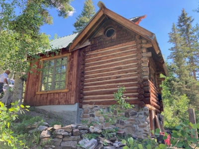 SW Colorado Mountain Log Cabin For Sale Telluride Ridgway - image 14