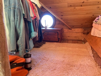 SW Colorado Mountain Log Cabin For Sale Telluride Ridgway - image 7