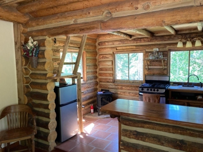 SW Colorado Mountain Log Cabin For Sale Telluride Ridgway - image 3