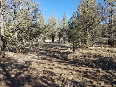 Rural Acreage - image 7