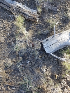 Rural Acreage - image 3