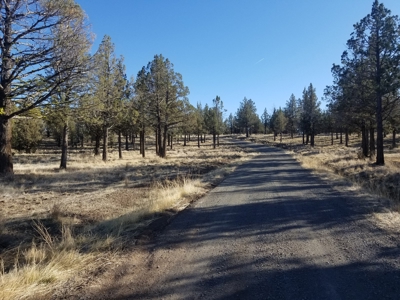 Rural Acreage - image 1
