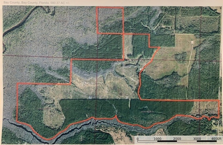 Timber and Hunting Land in Bay County Florida For Sale - image 1