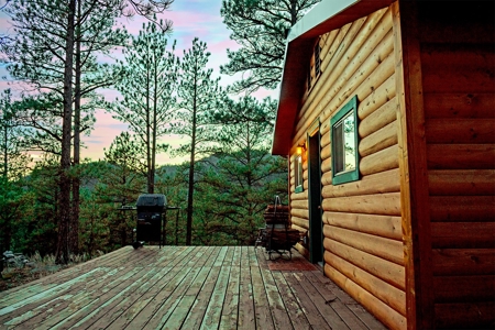 Cozy Fishing & Hunting Cabin in Sportsmen's Paradise - image 4