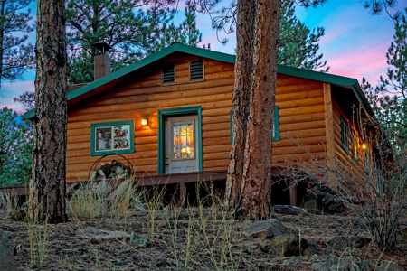Cozy Fishing & Hunting Cabin in Sportsmen's Paradise - image 5