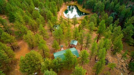Cozy Fishing & Hunting Cabin in Sportsmen's Paradise - image 19