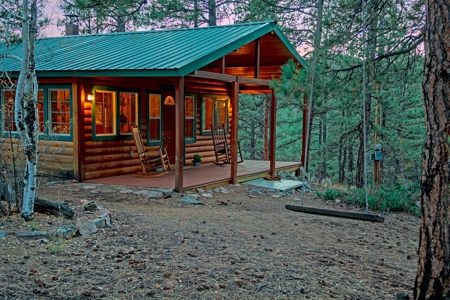 Cozy Fishing & Hunting Cabin in Sportsmen's Paradise - image 3