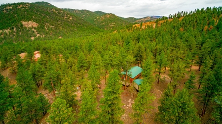 Cozy Fishing & Hunting Cabin in Sportsmen's Paradise - image 21