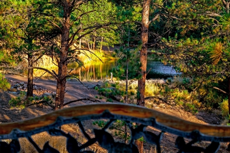 Cozy Fishing & Hunting Cabin in Sportsmen's Paradise - image 18