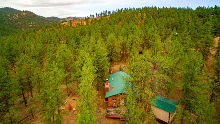 Cozy Fishing & Hunting Cabin in Sportsmen's Paradise - image 20