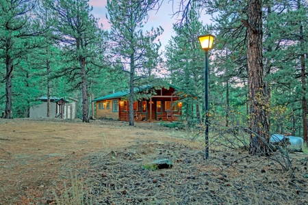 Cozy Fishing & Hunting Cabin in Sportsmen's Paradise - image 2