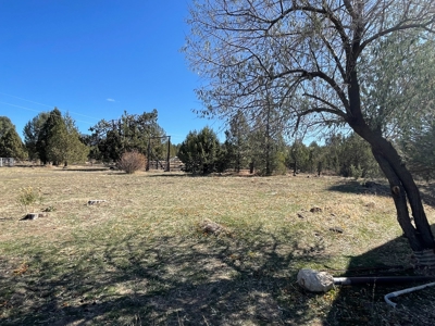 Beautiful 2439 sq.ft 3bed/2bath home with 58.3 +/- acres. - image 28