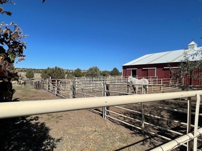 Beautiful 2439 sq.ft 3bed/2bath home with 58.3 +/- acres. - image 29