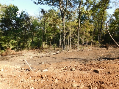 Lot 99 Round Mountain Estates at Iron Bluffs For Sale - image 3
