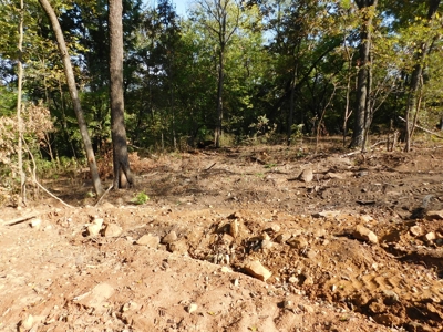 Lot 99 Round Mountain Estates at Iron Bluffs For Sale - image 5