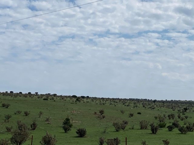 120± Acre Horse Property with Home For Sale in Stanley, NM - image 24