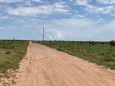 120± Acre Horse Property with Home For Sale in Stanley, NM - image 26