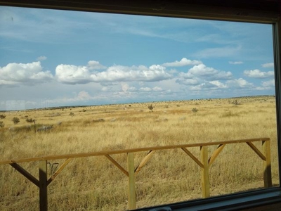 120± Acre Horse Property with Home For Sale in Stanley, NM - image 9
