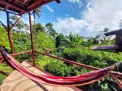 Titled Home with Rental Units, Isla Bastimentos - image 11