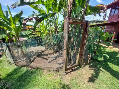 Titled Home with Rental Units, Isla Bastimentos - image 36