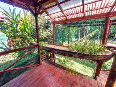 Titled Home with Rental Units, Isla Bastimentos - image 32