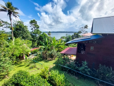 Titled Home with Rental Units, Isla Bastimentos - image 5