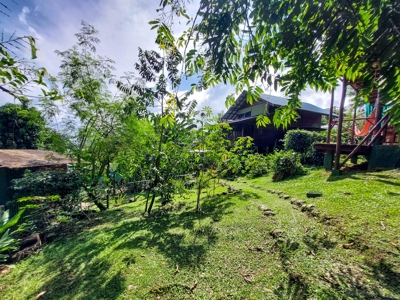 Titled Home with Rental Units, Isla Bastimentos - image 12