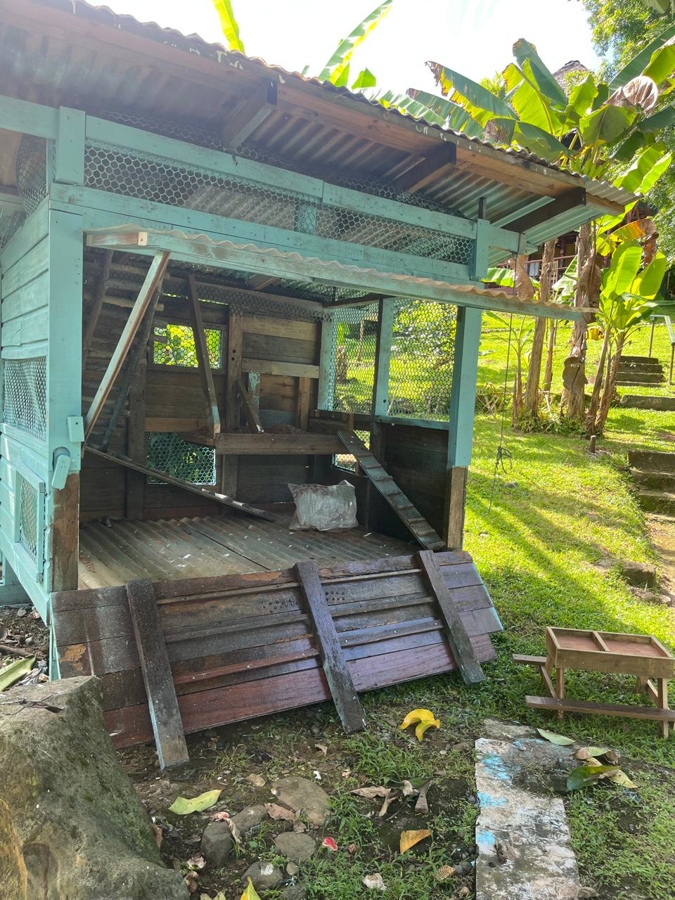 B&B + Casa de Huéspedes con Vistas al Mar — Antiguo Banco, Isla Bastimentos - 46