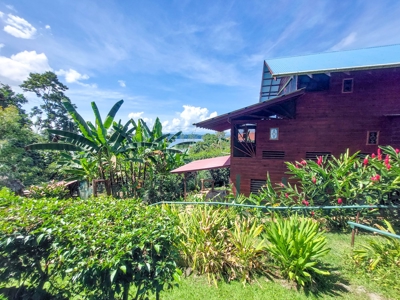 Titled Home with Rental Units, Isla Bastimentos - image 34