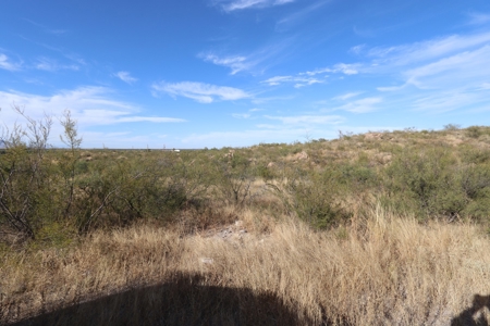 Vacant land Near Ft Huachuca, AZ - image 1