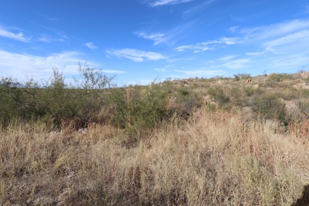 Vacant land Near Ft Huachuca, AZ - image 2