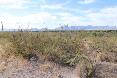Vacant land Near Ft Huachuca, AZ - image 13