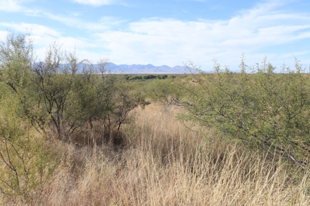 Vacant land Near Ft Huachuca, AZ - image 7