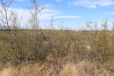 Vacant land Near Ft Huachuca, AZ - image 11