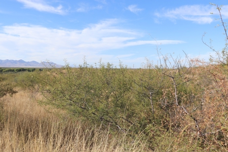 Vacant land Near Ft Huachuca, AZ - image 8