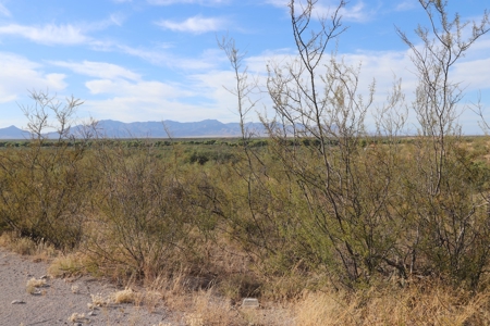 Vacant land Near Ft Huachuca, AZ - image 10
