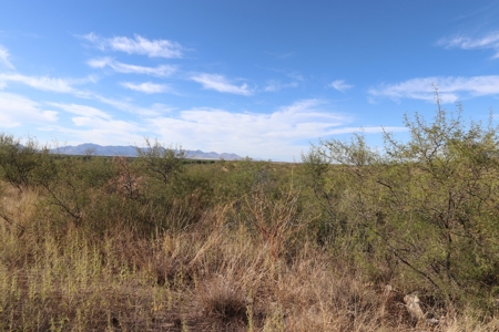 Vacant land Near Ft Huachuca, AZ - image 5