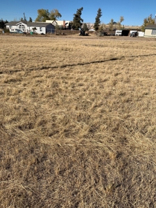 Nice Buildable Lot in Silver Cliff Town - image 5