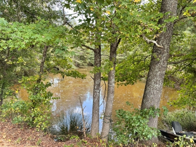 Land For Sale, Morris County, Naples Texas - image 1