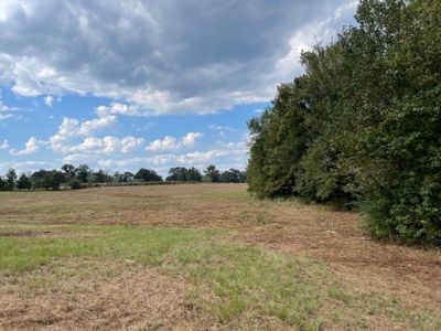 Land For Sale, Morris County, Naples Texas - image 2