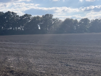 Dairy Farm Ready To Crank Back Up For Only $1.75Mm!!!!!! - image 12