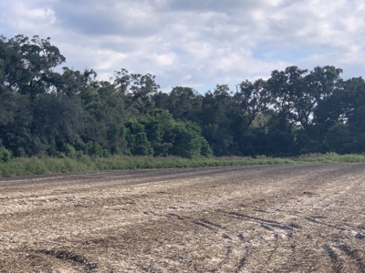 Dairy Farm Ready To Crank Back Up For Only $1.75Mm!!!!!! - image 14