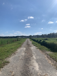 Dairy Farm Ready To Crank Back Up For Only $1.75Mm!!!!!! - image 3