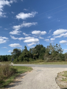 Dairy Farm Ready To Crank Back Up For Only $1.75Mm!!!!!! - image 9