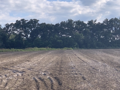 Dairy Farm Ready To Crank Back Up For Only $1.75Mm!!!!!! - image 13