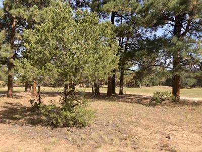 Divide Ranch Golf Course Lot For Sale Ridgway Telluride CO - image 4