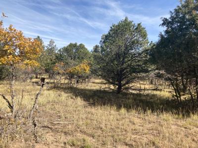 Divide Ranch Golf Course Lot For Sale Ridgway Telluride CO - image 3